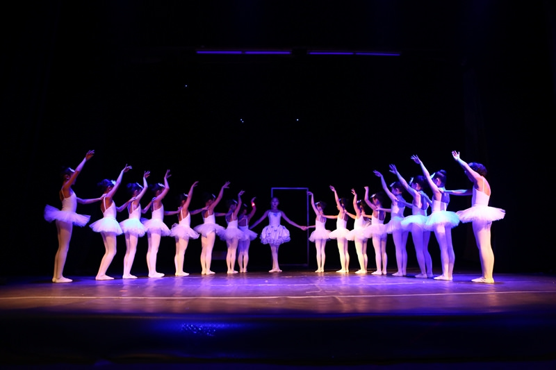 “Шелкунчик” сонгодог урлагийн боловсрол олгох төв та бүхнийг урьж байна